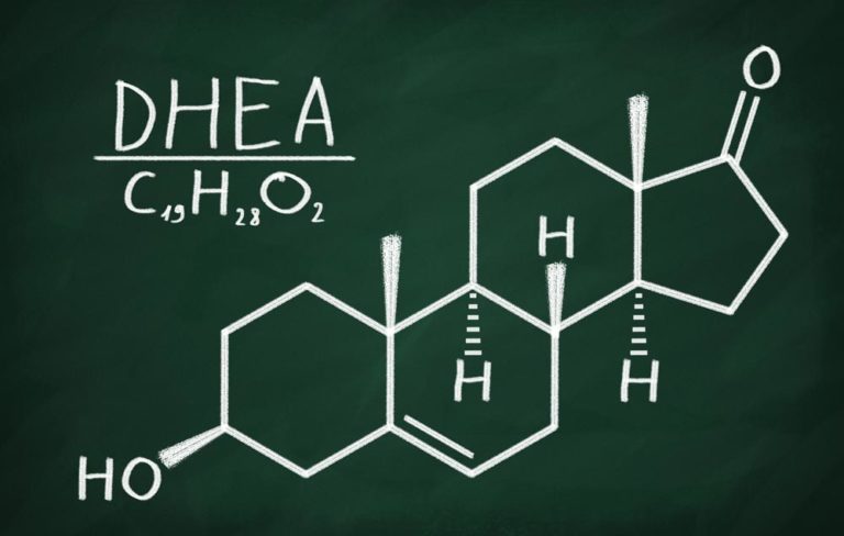 DHEA Basic Facts