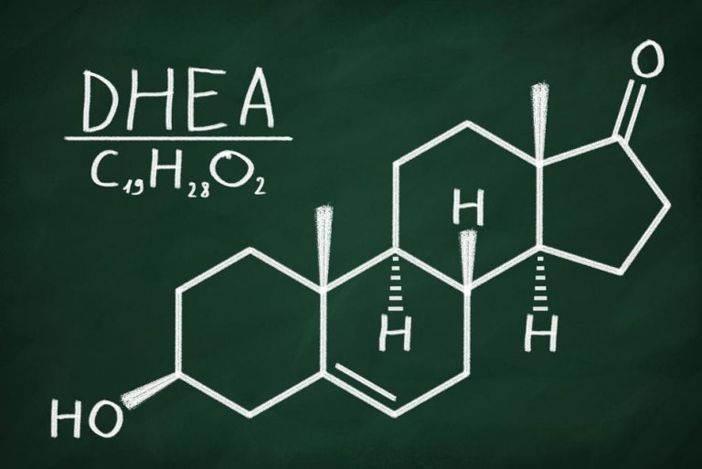 DHEA Basic Facts